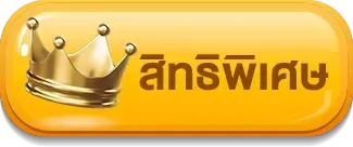 สิทธิพิเศษ นคร หวย 100
